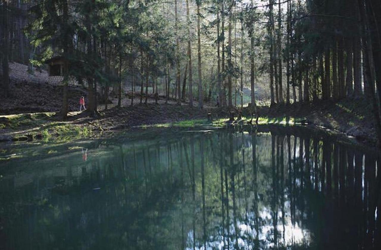 Ferienhaus "Schmetterling" Am See Im Bergland Kirchheim  Extérieur photo